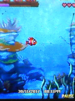Sea Adventure 1
